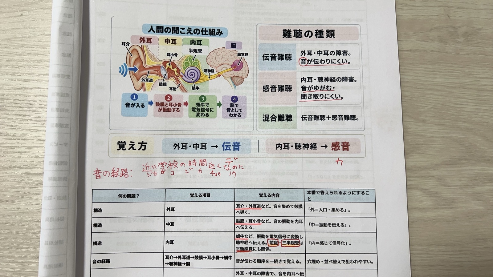 耳のしくみと難聴の種類を印刷し、赤ペンで要点を書き込んだ勉強資料